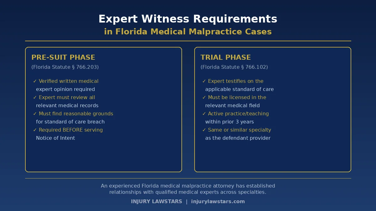 Florida medical malpractice attorney reviewing medical records and legal documents